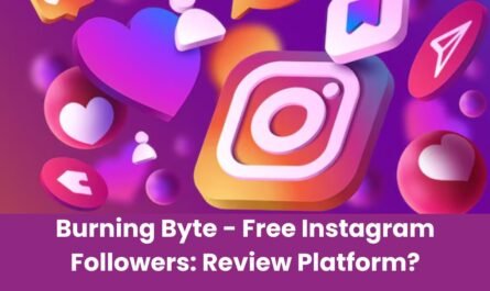 Burning Byte - Free Instagram Followers: Review Platform?