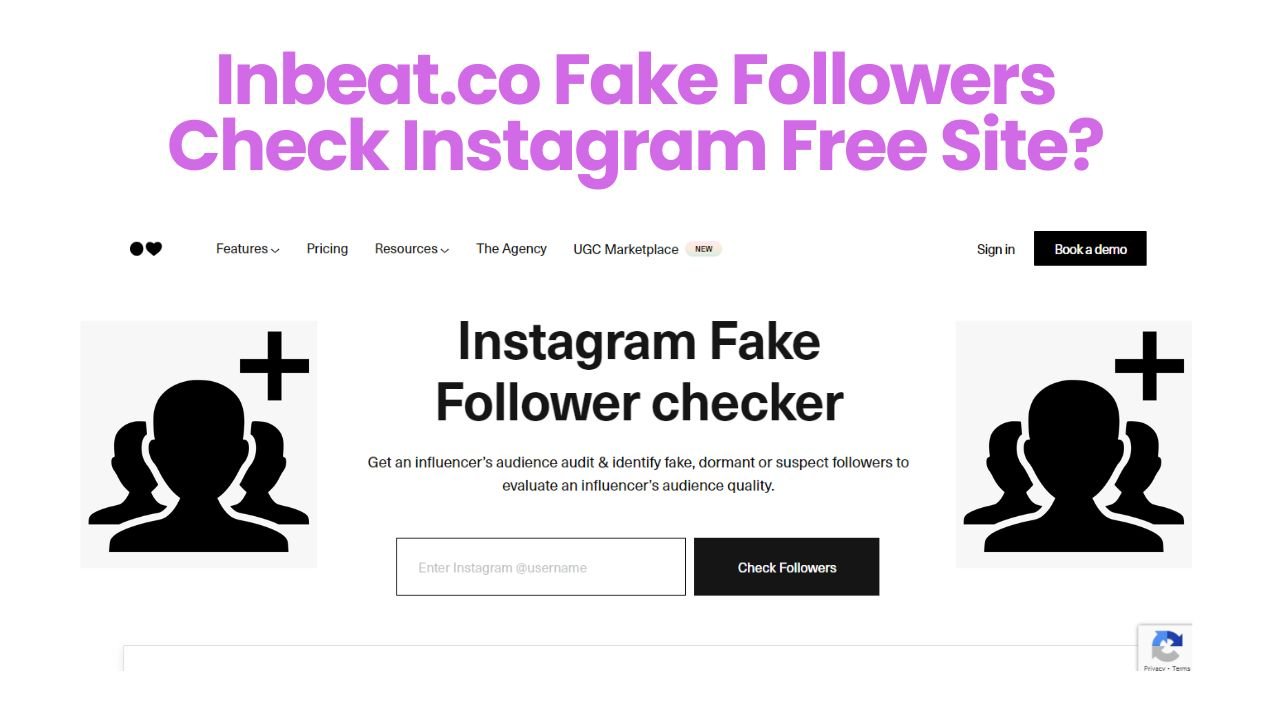 Inbeat.co Fake Followers Check Instagram Free Site?