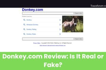 Donkey.com Review: Is It Real or Fake?