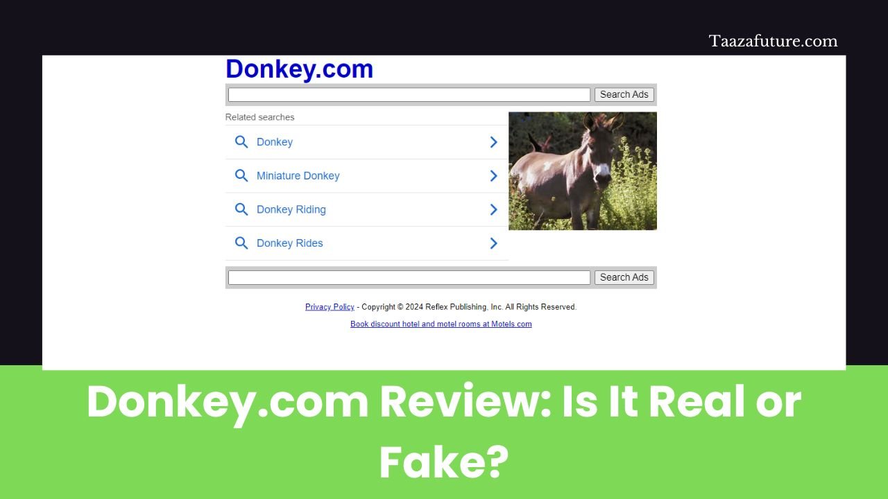 Donkey.com Review: Is It Real or Fake?