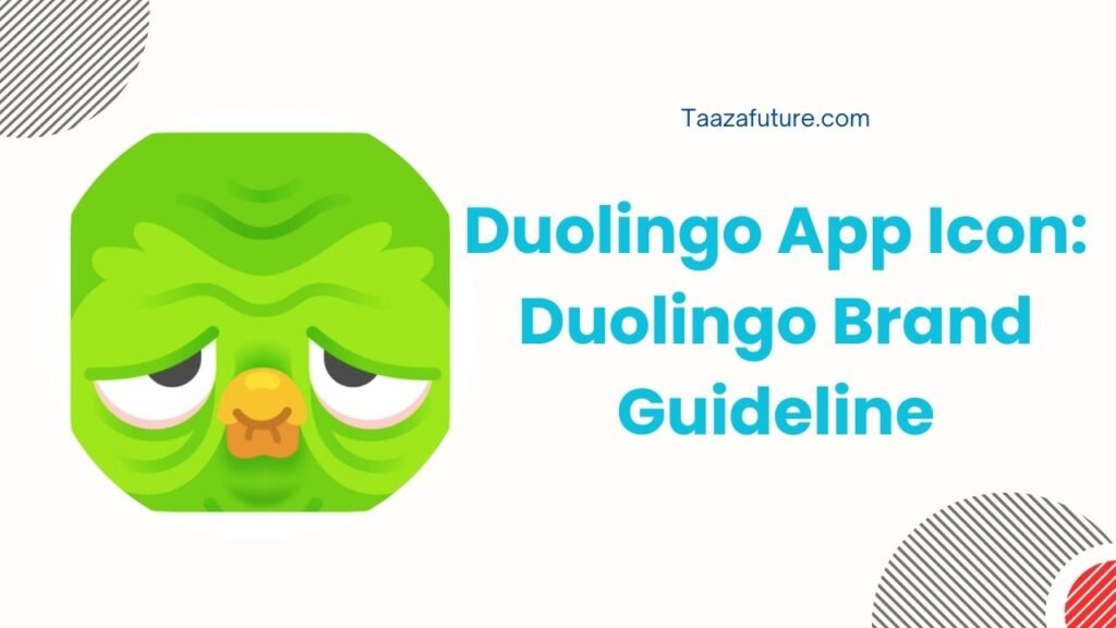 Duolingo App Icon: Duolingo Brand Guideline