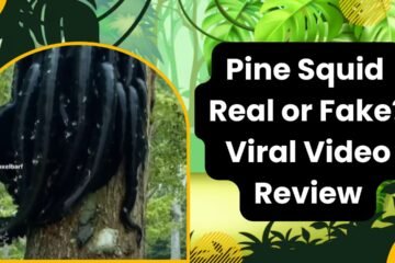 Pine Squid Real or Fake? Viral Video Review