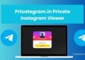 Privategram.in Private Instagram Viewer